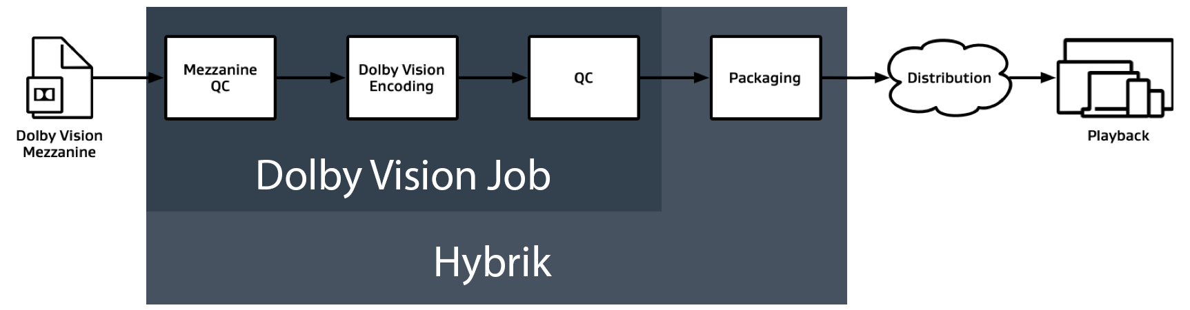 lifecycle